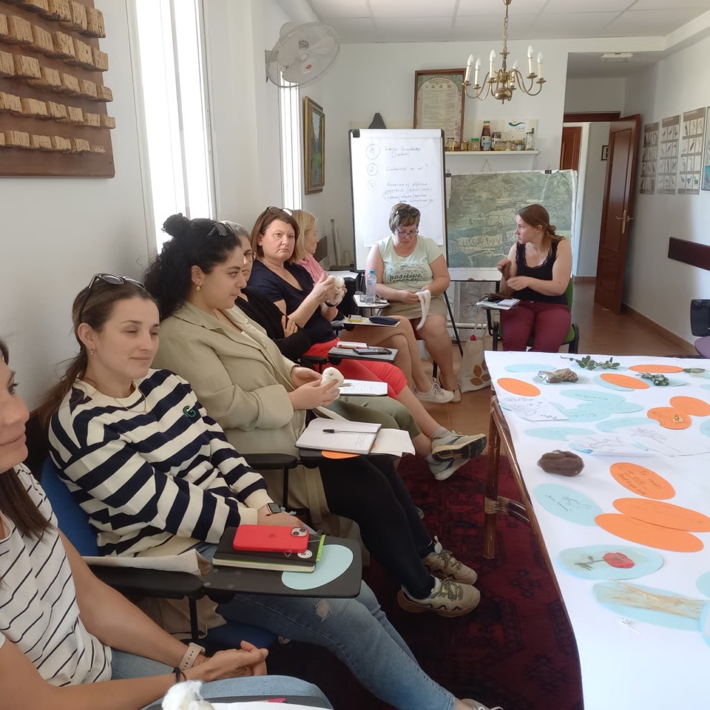 workshop-feedback-spain